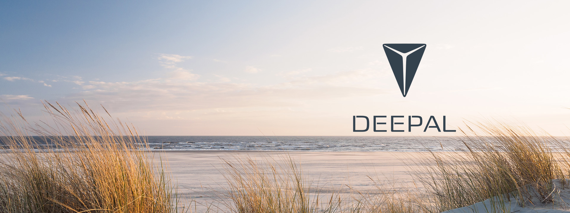 Welcome to DEEPAL
